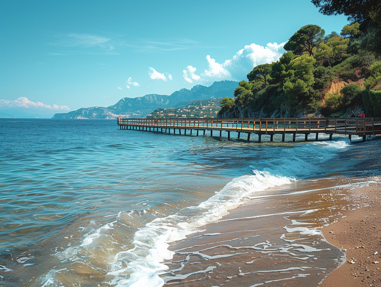 plage albigny